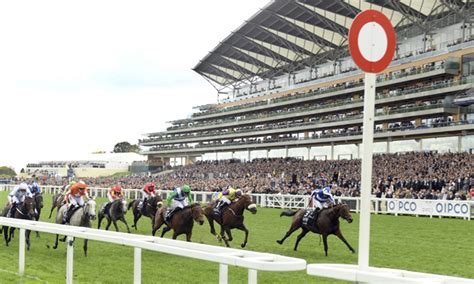 Timeform's Tote Placepot: Champions Day at Ascot.